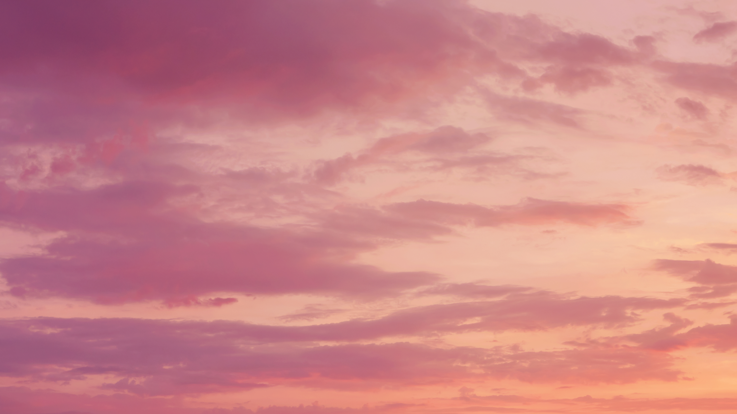 FromRachel Banner