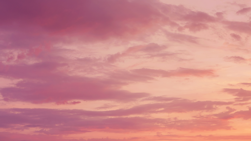 FromRachel Banner